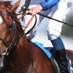 Masar-Horse-Racing