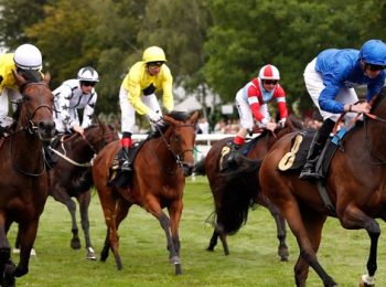 James Doyle thrilled with Crystal Ocean news