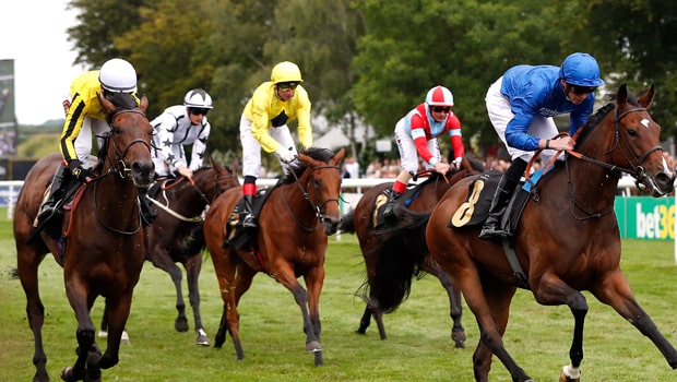 James-Doyle-Horse-Racing