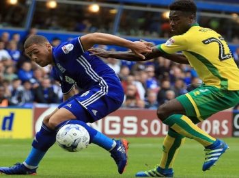 Alex Tettey Seeks Attacking Stability in Norwich